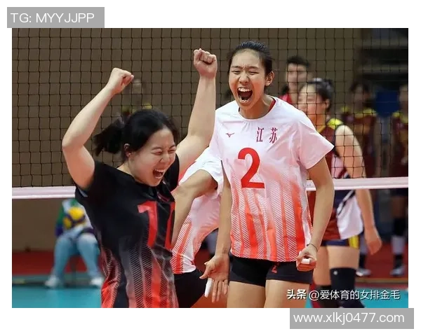 武汉排球队实力解析：聚焦排球运动的崛起与发展之路