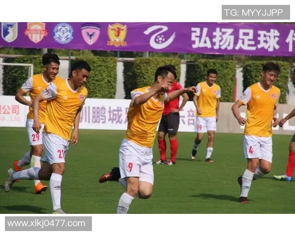 深圳足球队实力引发热议球迷对球队表现的看法与争议分析