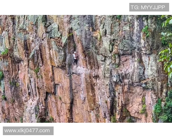 深圳极限运动队在世界攀岩锦标赛中的战术分析与表现点评