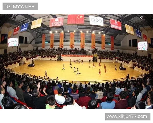 李敏畅谈篮球生涯的起伏与梦想追逐之路